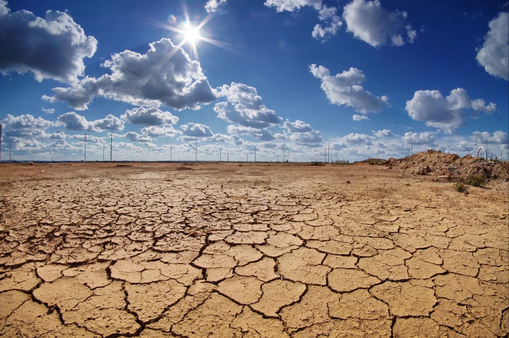 heatwave image